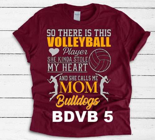 Edgerton Bulldogs volleyball BDVB 5