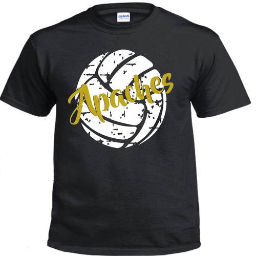 Fairview Apaches - Volley5