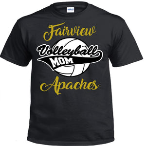 Fairview Apaches - Volley6