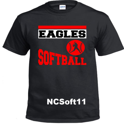 North Central Softball - NCSoft11