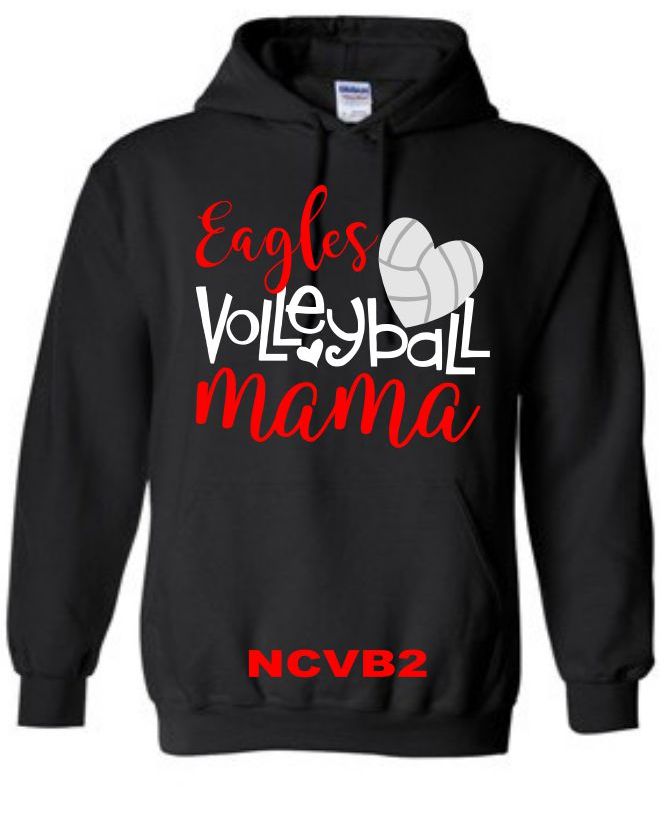 North Central Volleyball - NCVB2