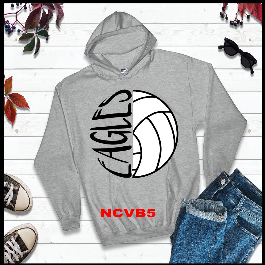 North Central Volleyball - NCVB5