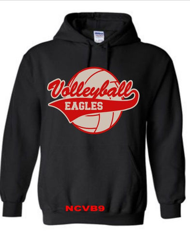 North Central Volleyball - NCVB9